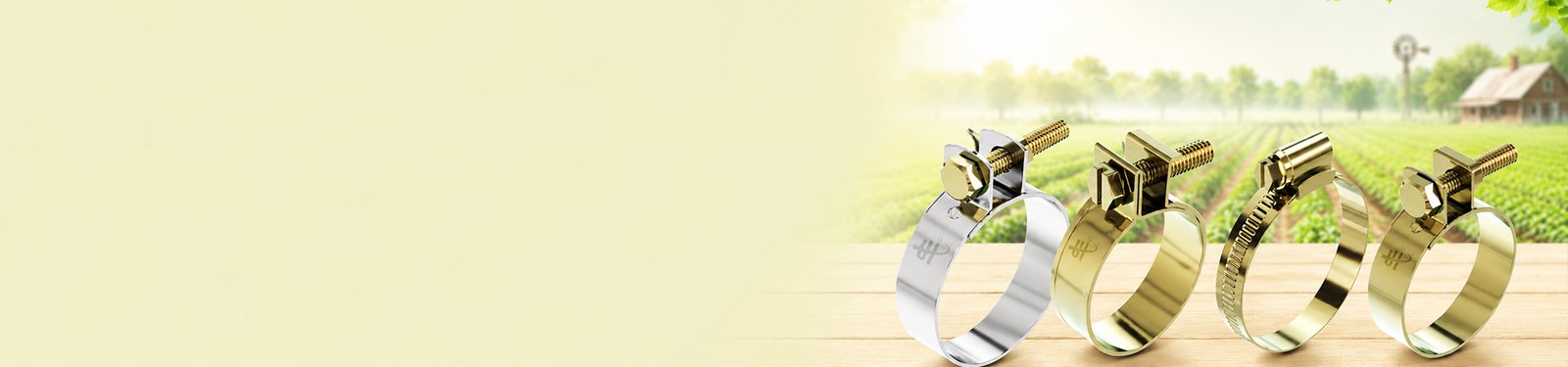 Worm Drive Clamp